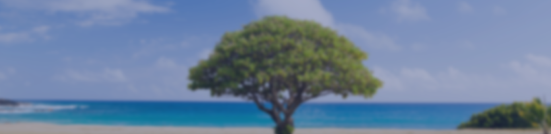 About us banner